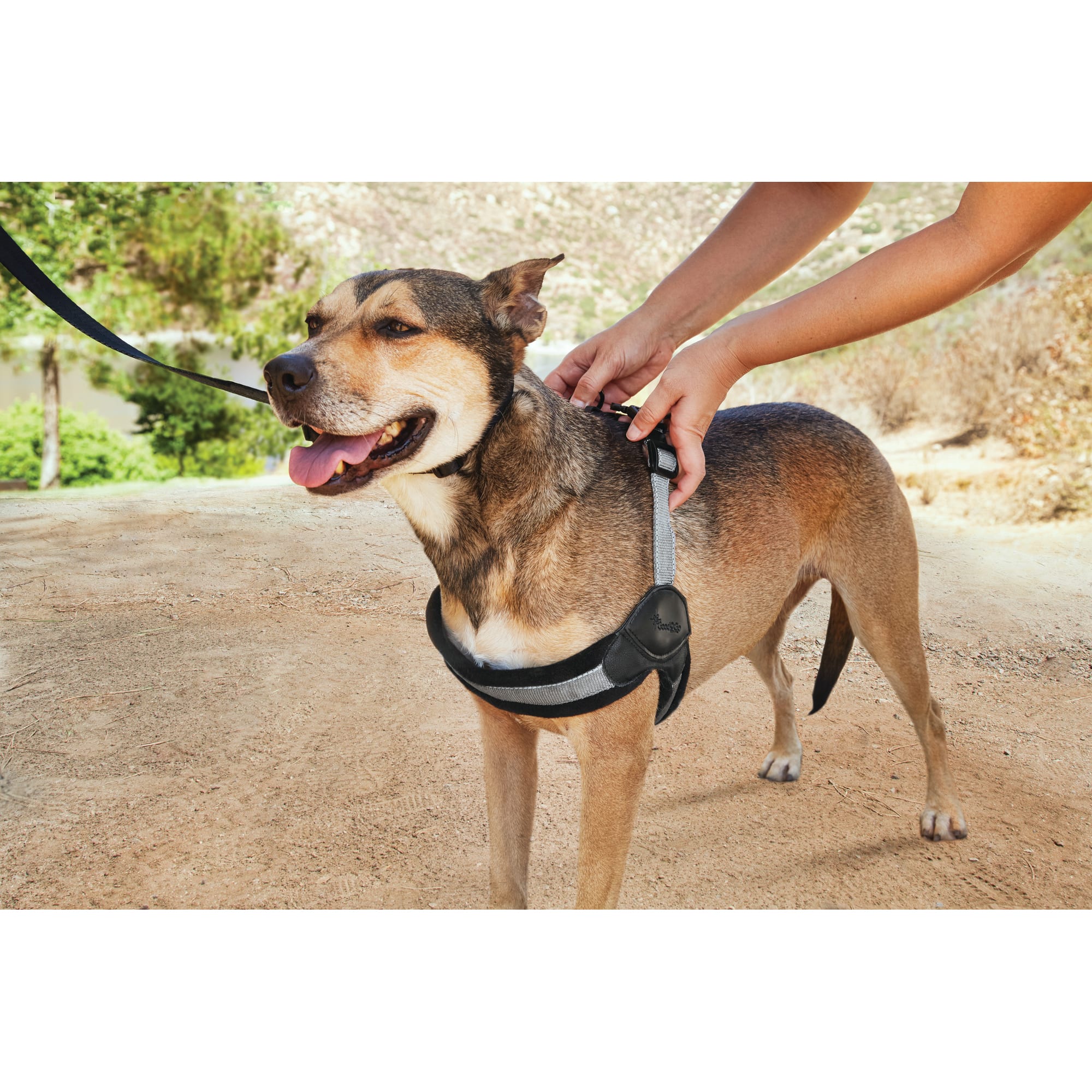 Good2Go Quick-Fit Dog Harness， X-Large/XX-Large