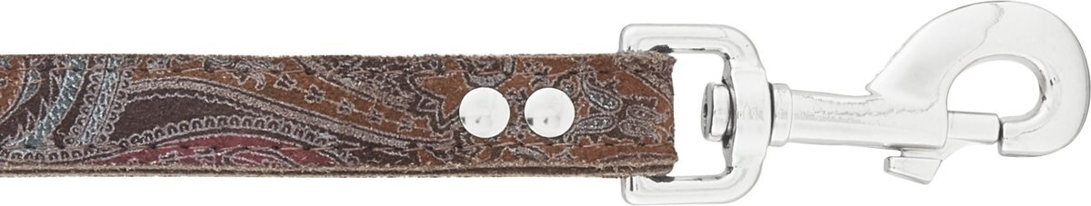 OmniPet Paisley Leather Dog Leash