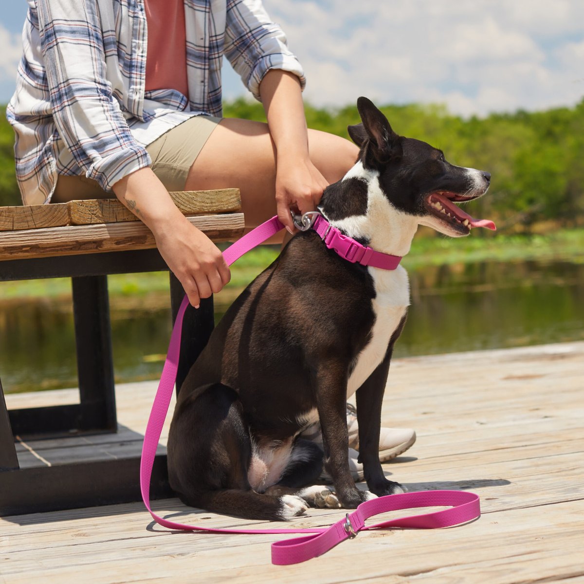 Frisco Outdoor Solid Textured Waterproof Stink Proof PVC Dog Leash