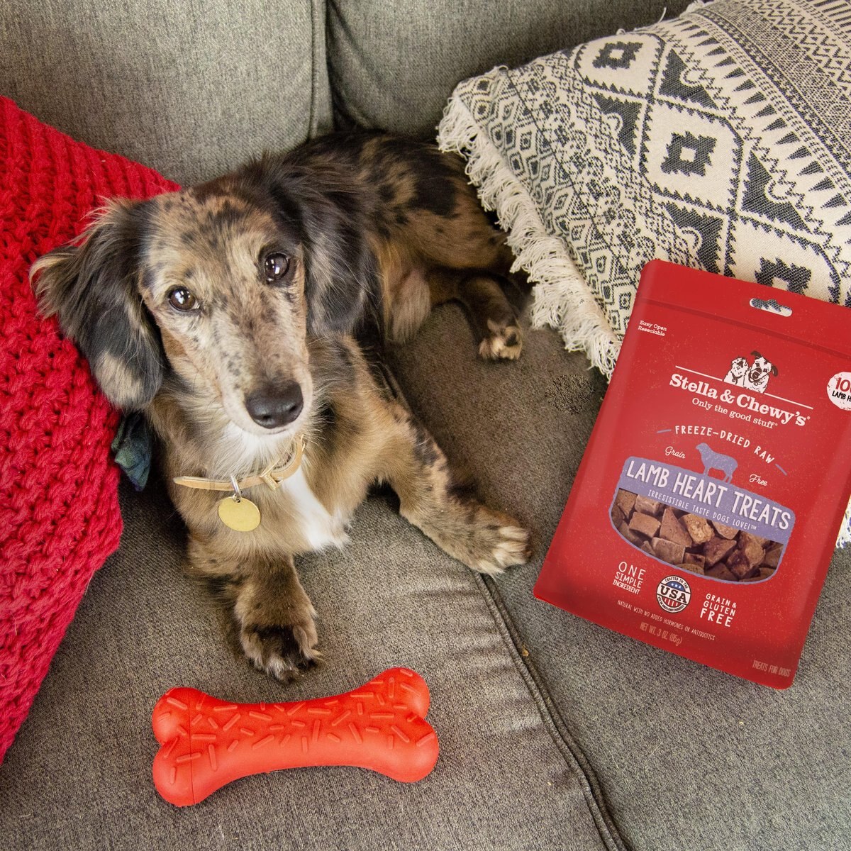 Stella and Chewy's Lamb Heart Freeze-Dried Raw Dog Treats