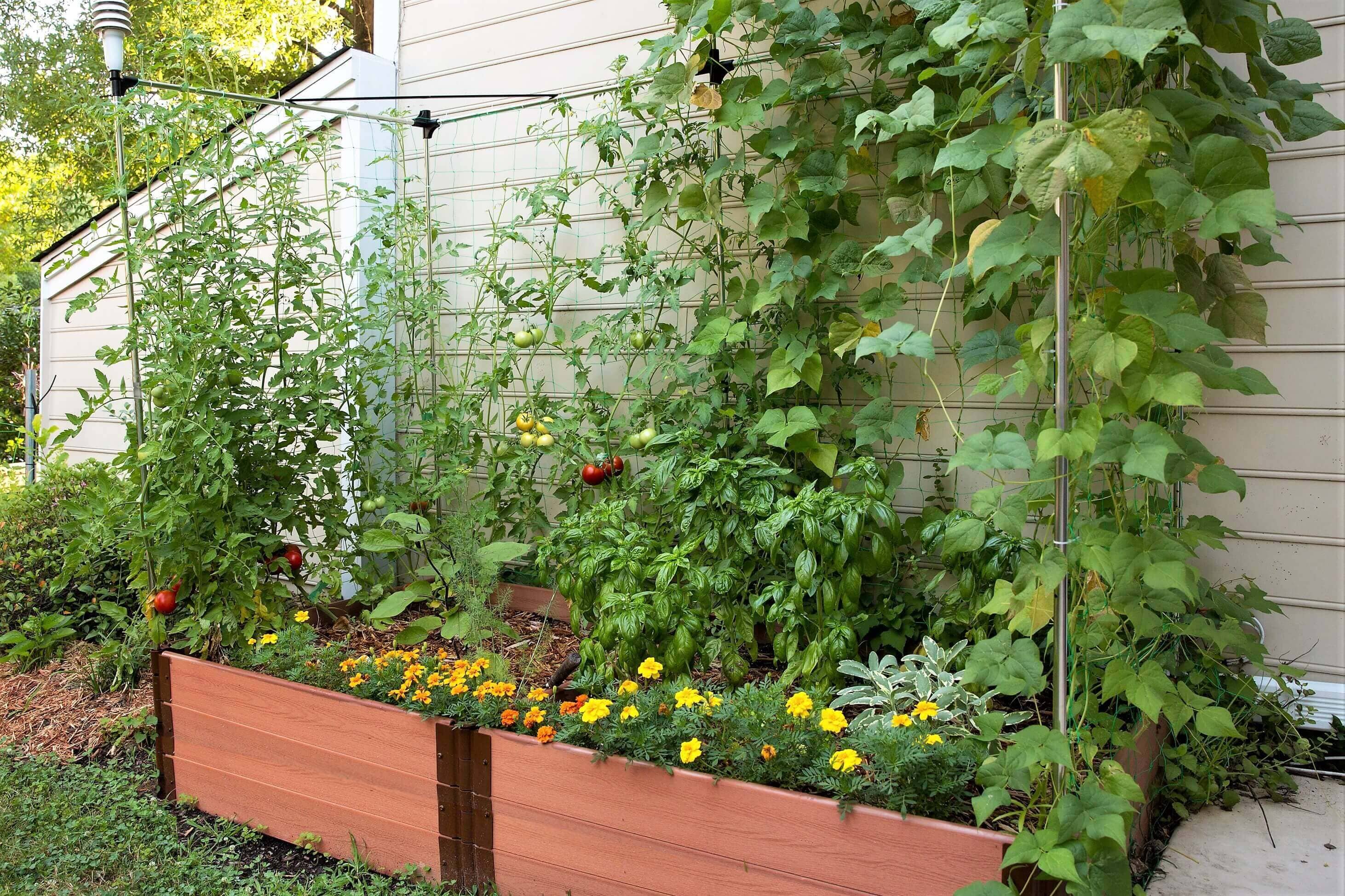 4' x 8' Raised Garden Bed with Trellis