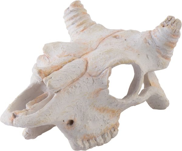 Exo Terra Buffalo Skull Reptile Hideout