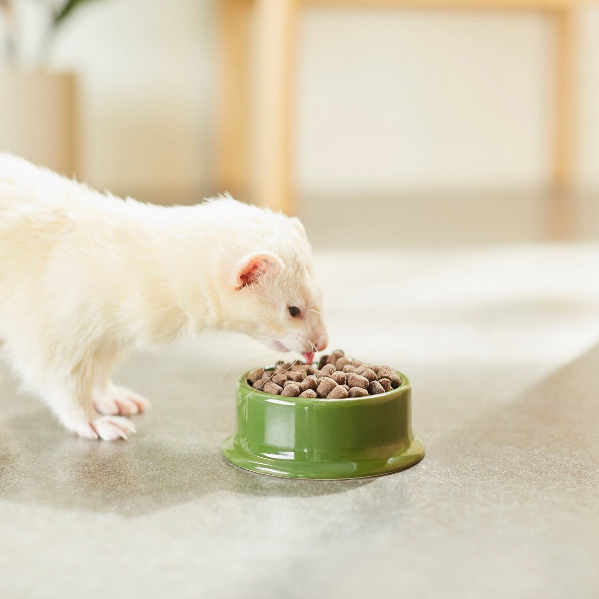 Mazuri Ferret Food