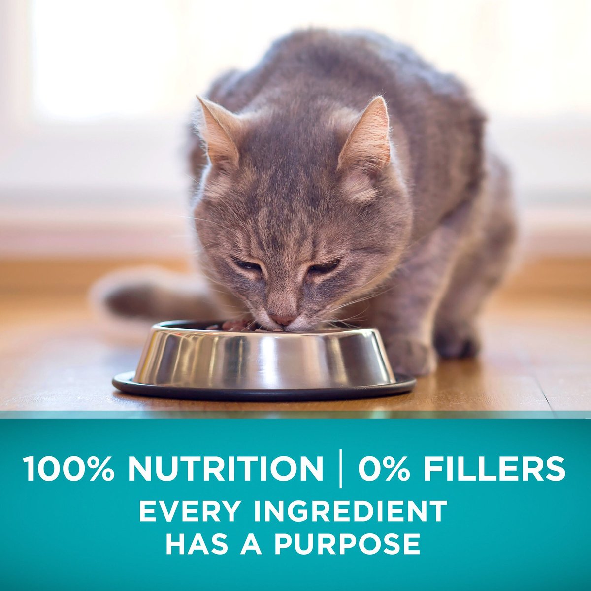 Purina ONE True Instinct Natural Real Chicken Plus Vitamins and Minerals High Protein Grain-Free Dry Cat Food