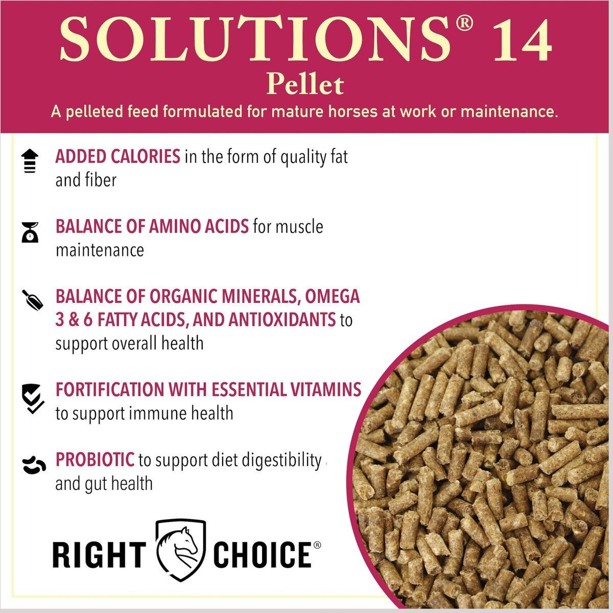 Right Choice Solutions 14 Horse Feed