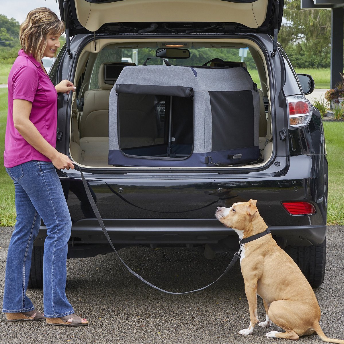 MidWest Canine Camper Dog Tent Crate