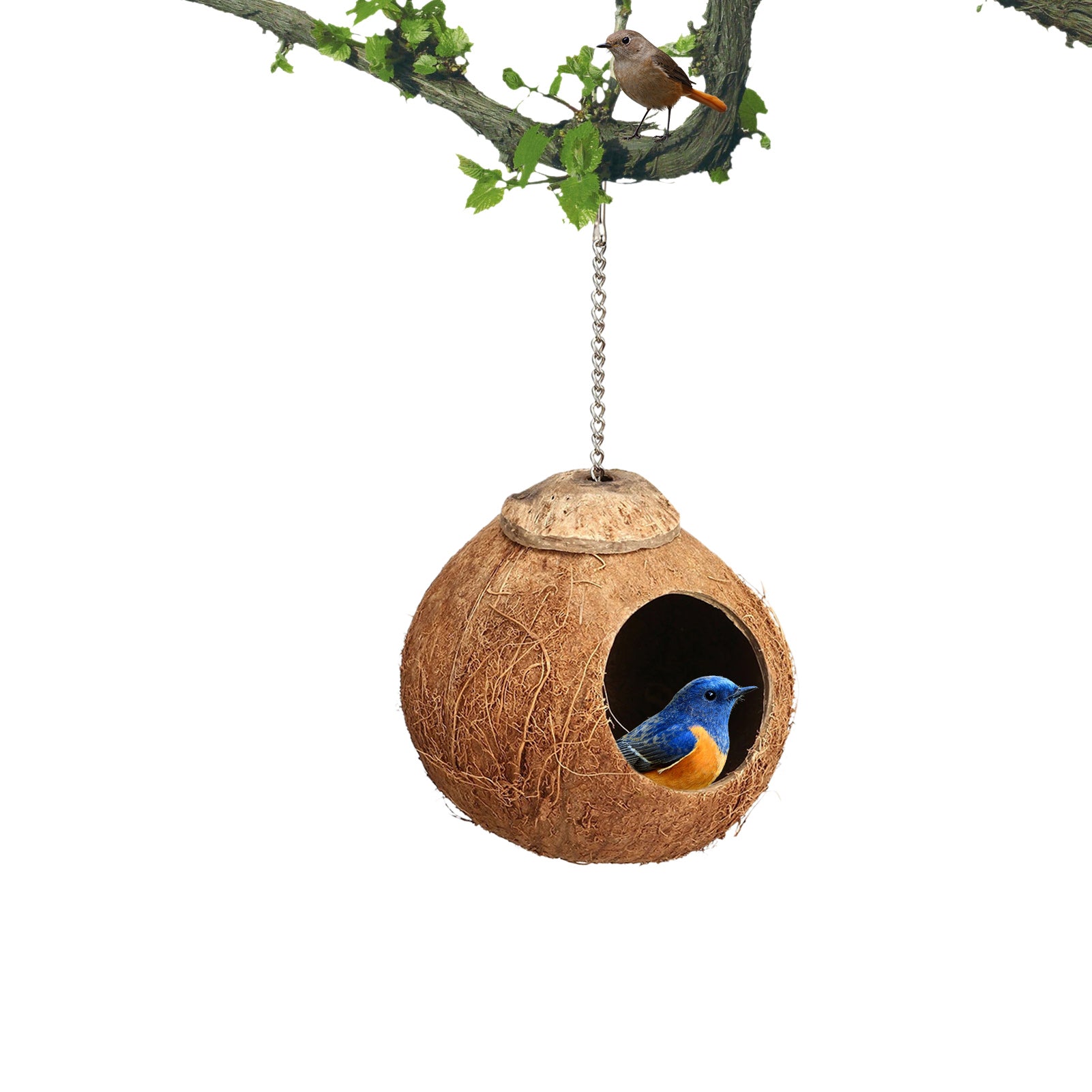 Coconut Birds Nest， Bird Cage with Climbing Ladder， Coconut Hide Bird Shell Breeding Nest for Parrot Parakeet Lovebird Finch Canary