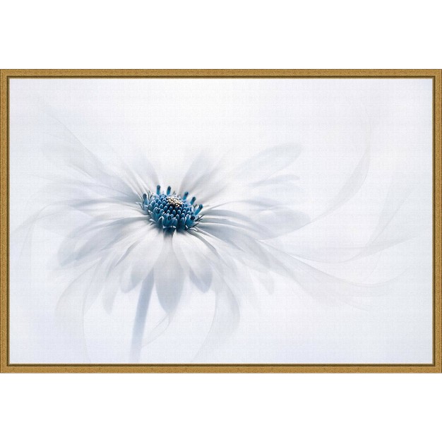 X 16 quot Serene Flower By Jacky Parker Framed Wall Canvas White Amanti Art