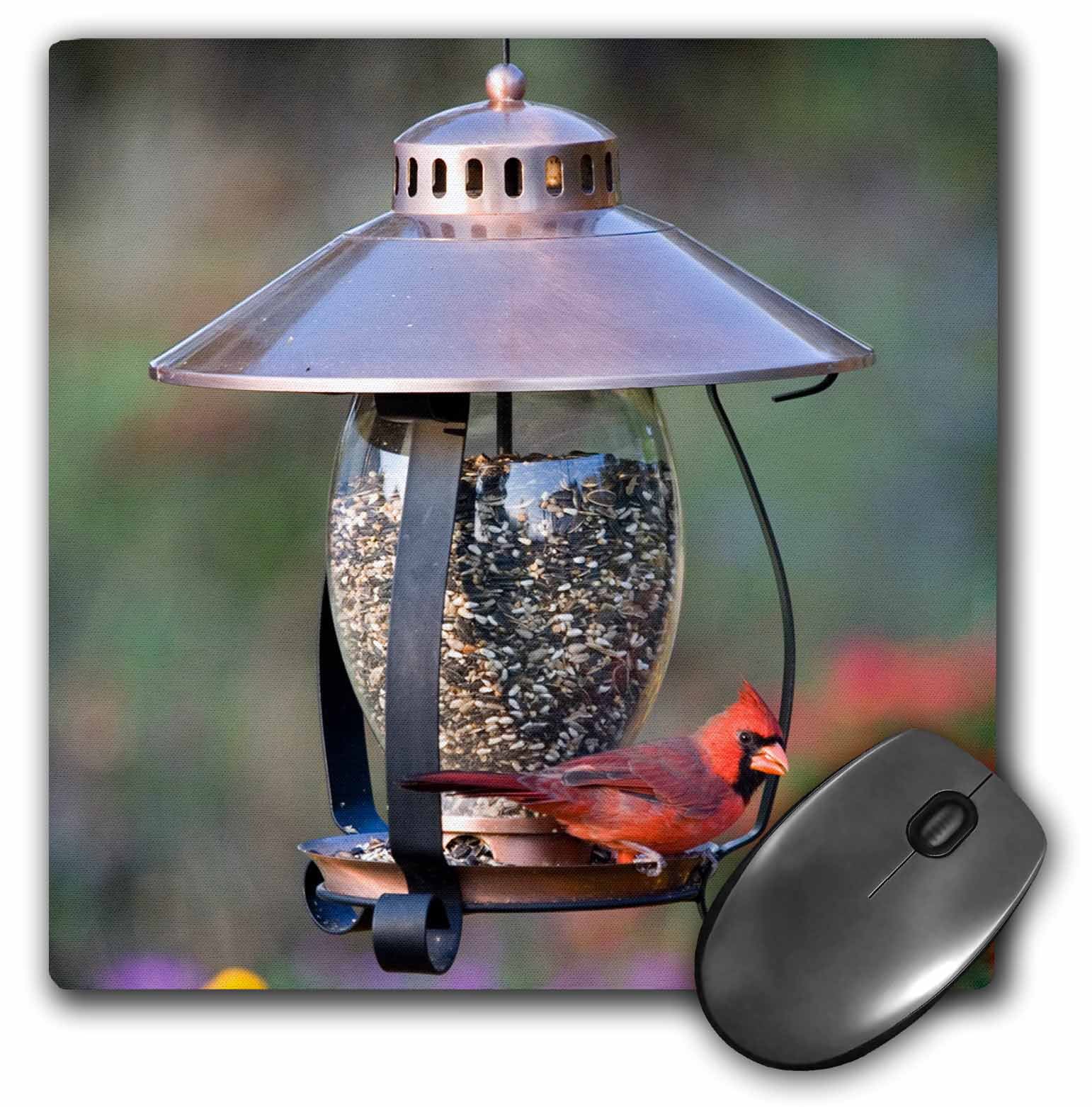 3dRose Northern Cardinal on copper lantern hopper bird feeder， Marion Co. IL - Mouse Pad， 8 by 8-inch