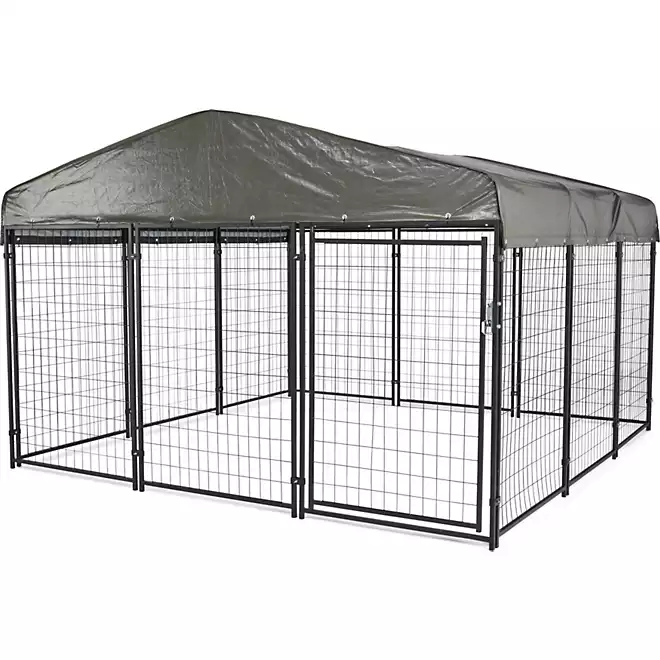 Game Winner 2-in-1 Dog Kennel 2.0