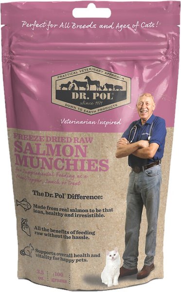 Dr. Pol Salmon Munchies Grain-Free Freeze-Dried Raw Cat Treats， 3.5-oz bag