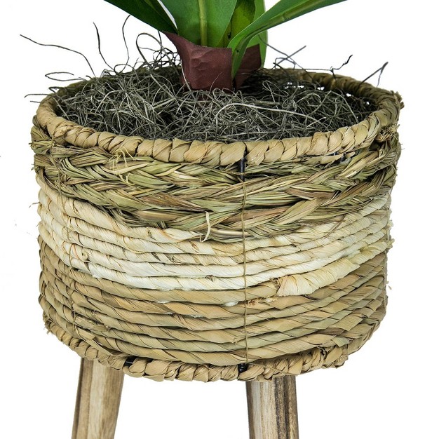 X 24 quot Artificial Dracaena Plant In Basket Stand Lcg Florals