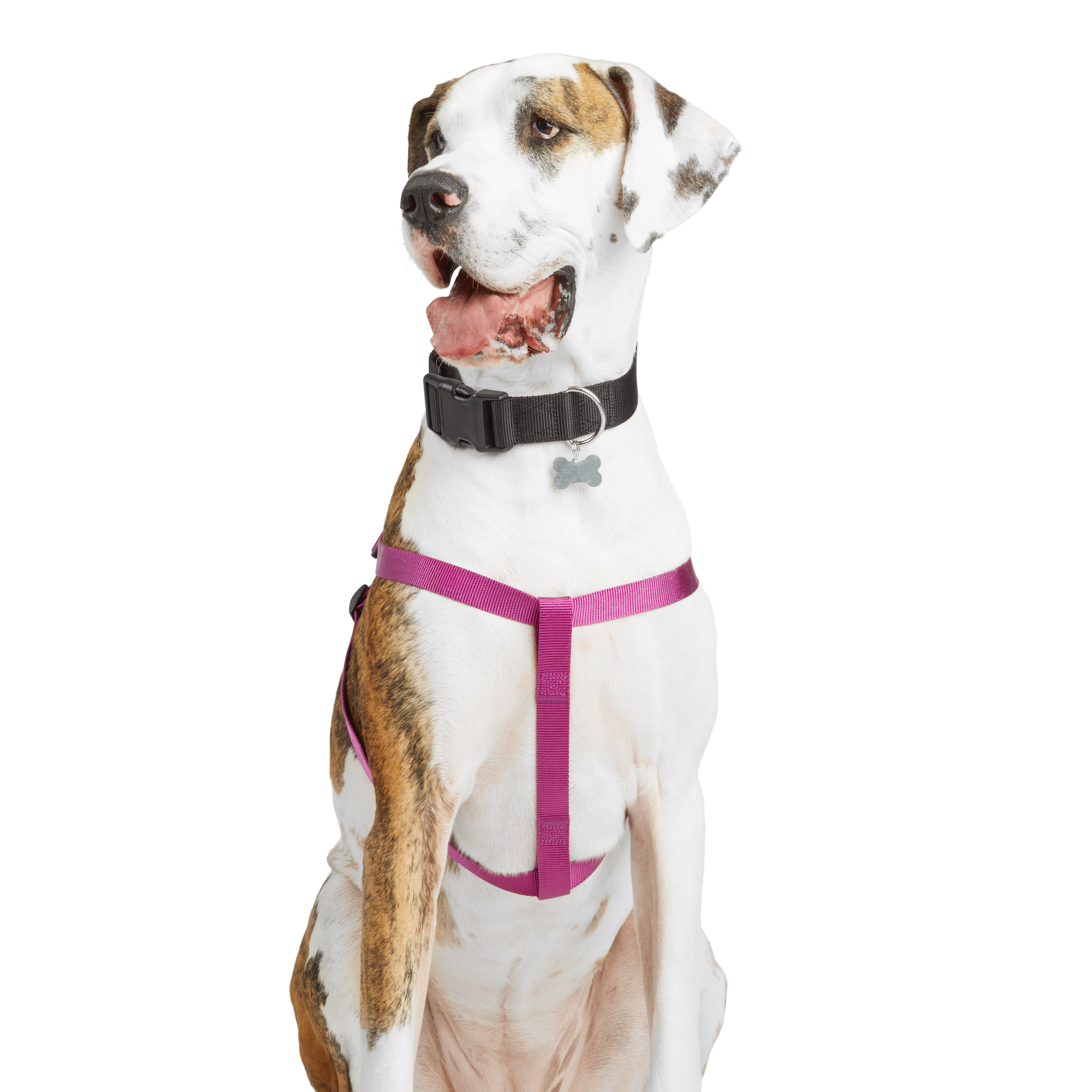 YOULY Heathered Berry Dog Harness， Small