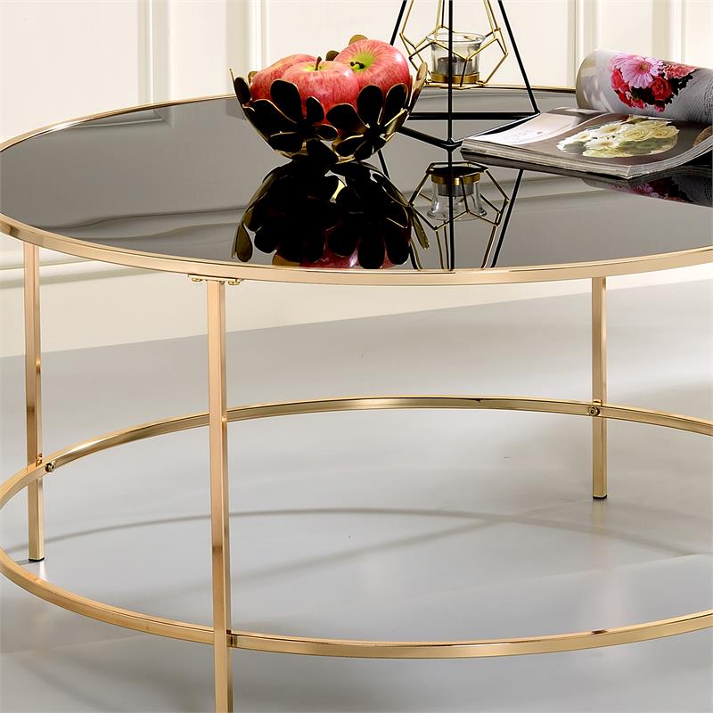 Bowery Hill Contemporary Glass Top Round Coffee Table in Gold