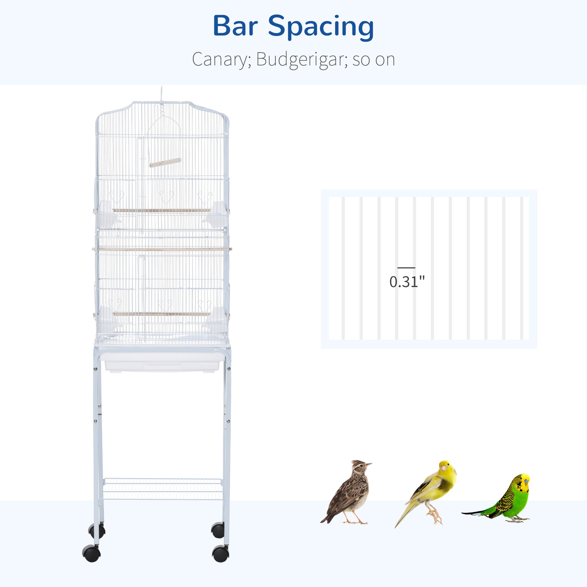 Bird Cage 60