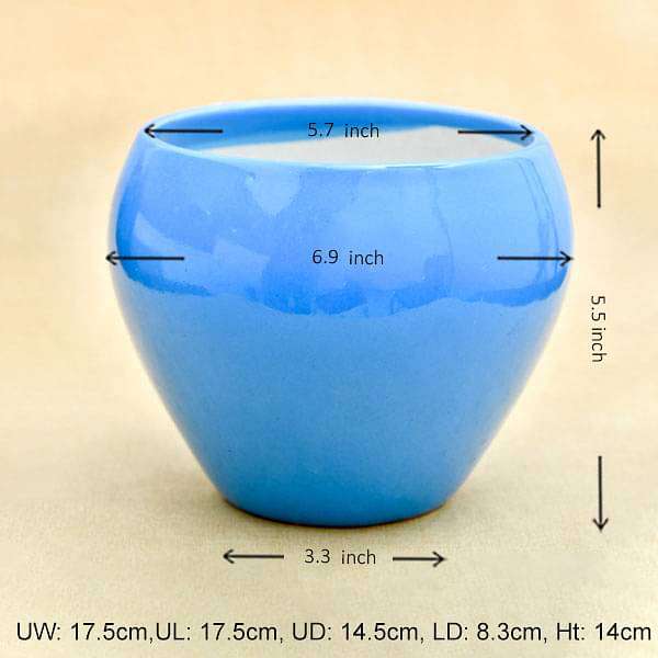 5.7 inch (14 cm) Apple Round Ceramic Pot (Blue) (set of 2)