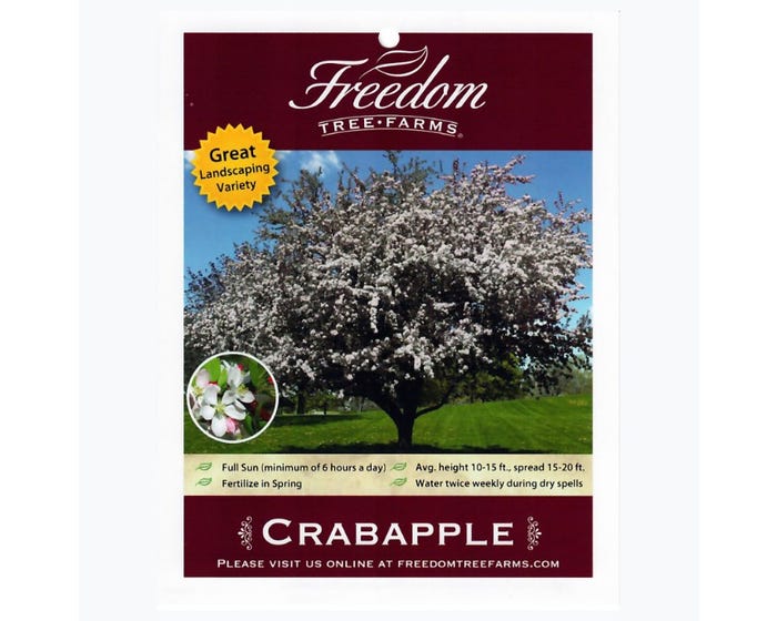 Freedom Farms Calloway Flowering Crabapple Tree， 5 Gallon Pot