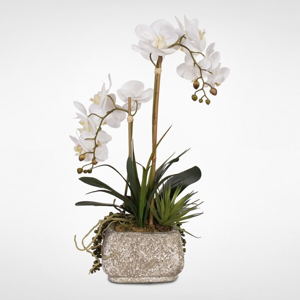 Real Touch Phalaenopsis Orchids with Succulents in a Concrete Pot