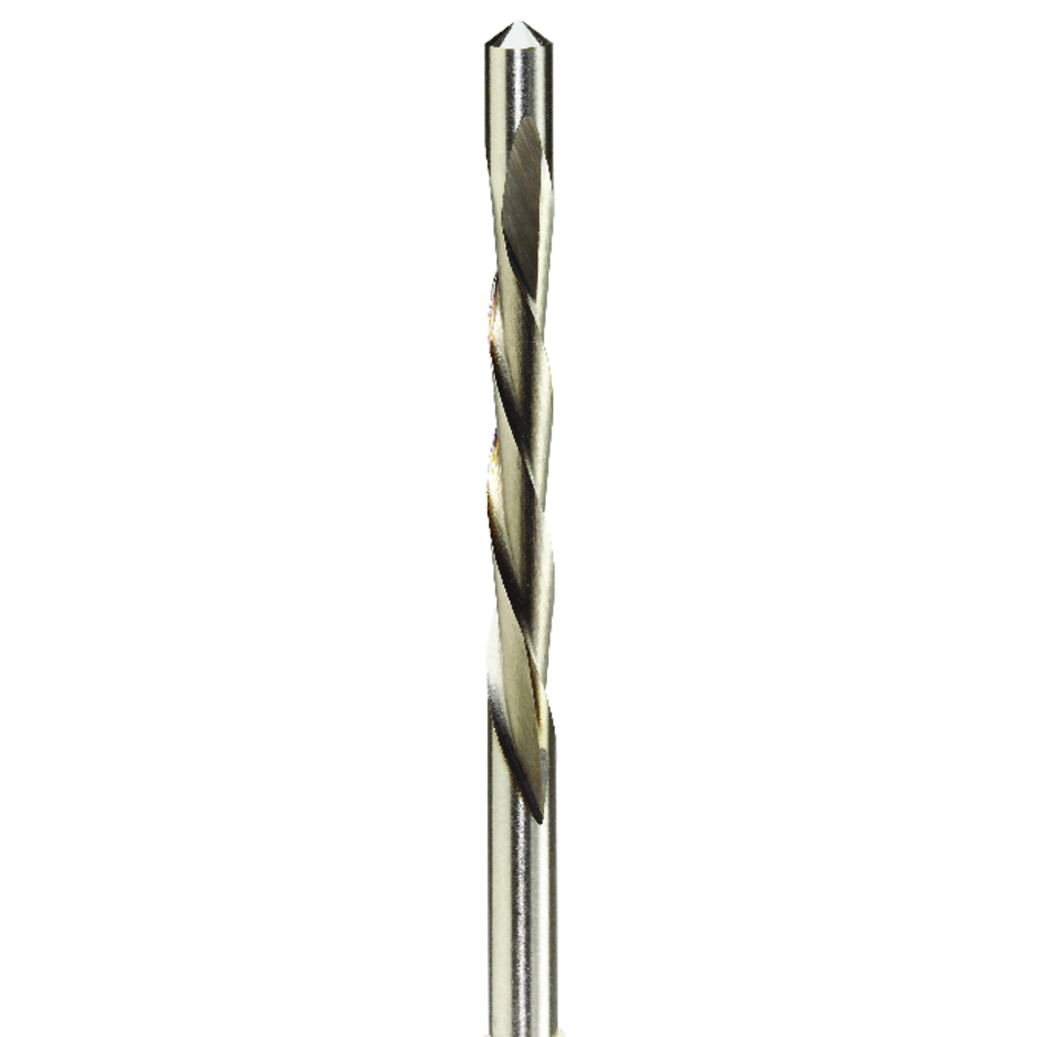 Rotozip 8 X .6 in. L Steel Guide Point Zip Bit 8 pk