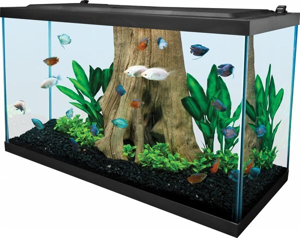 Tetra Glass Aquarium