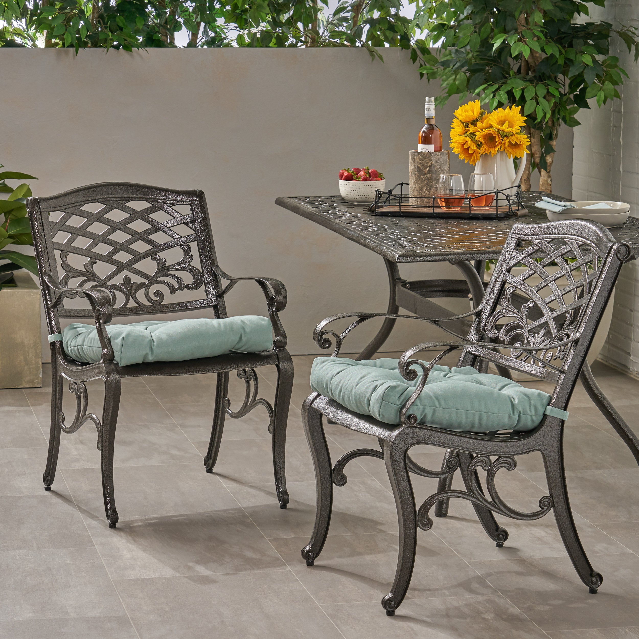 Juel Outdoor Dining Chair with Cushion (Set of 2)