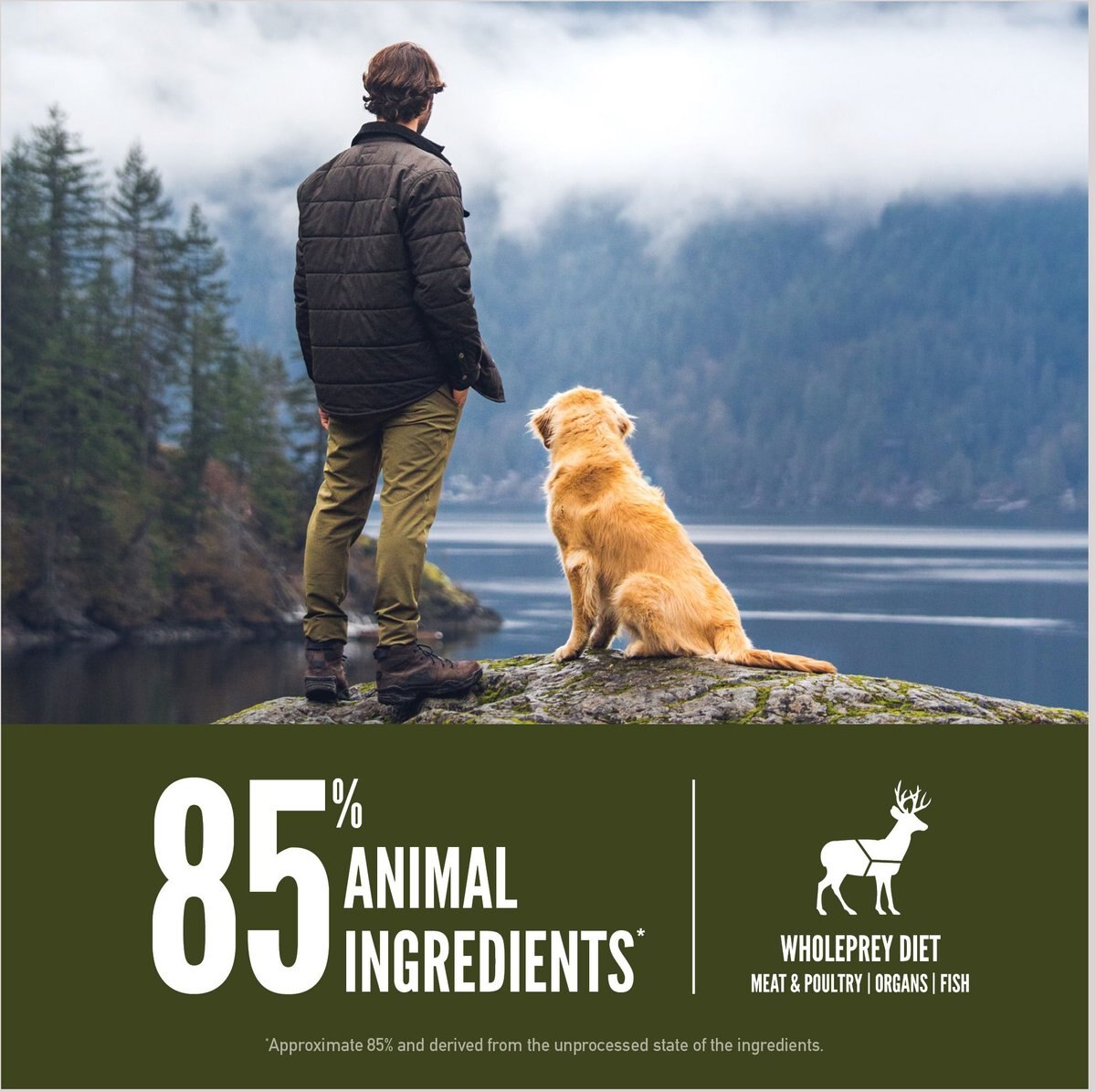 ORIJEN Tundra Grain-Free Dry Dog Food