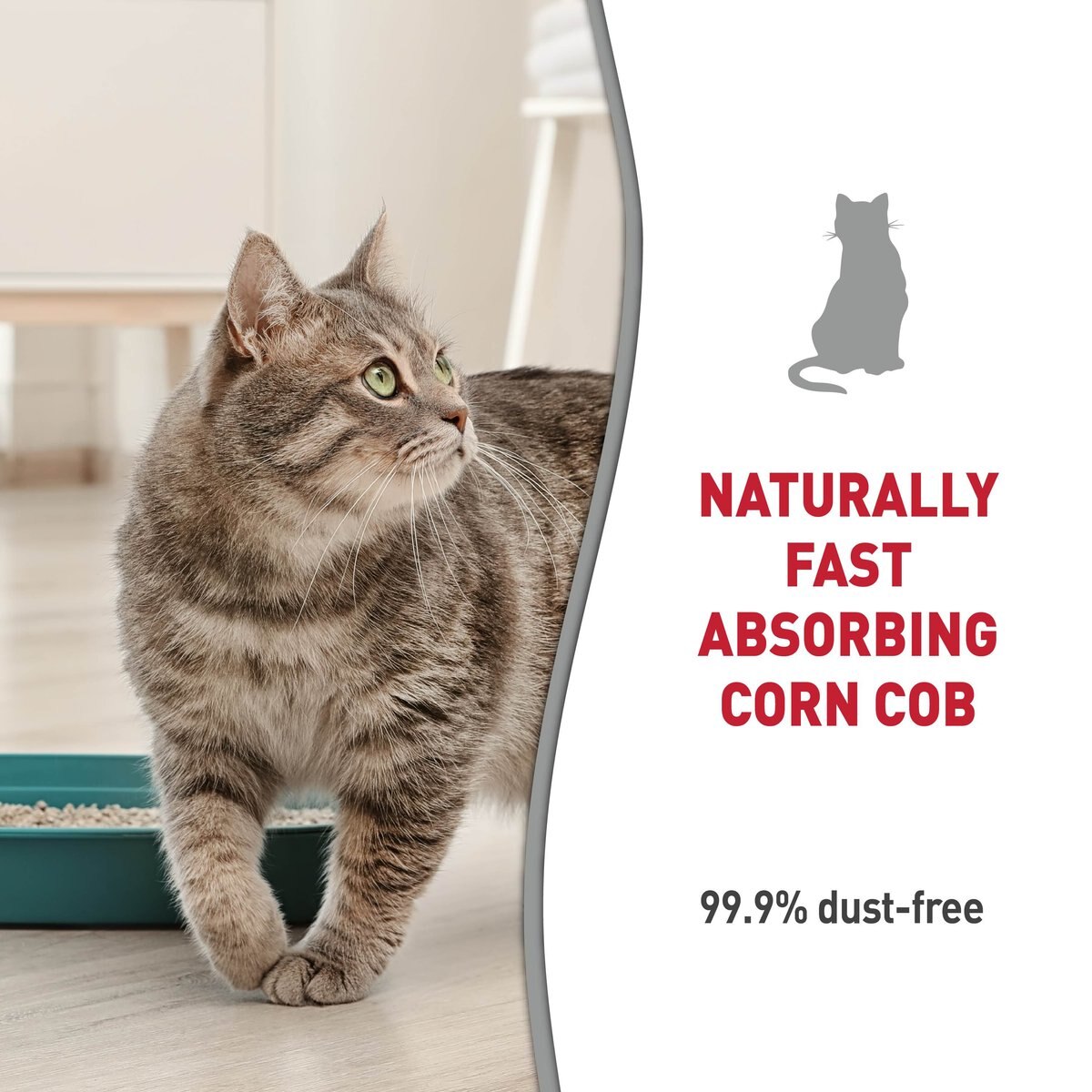 Nature's Miracle Premium Scented Clumping Corn Cat Litter