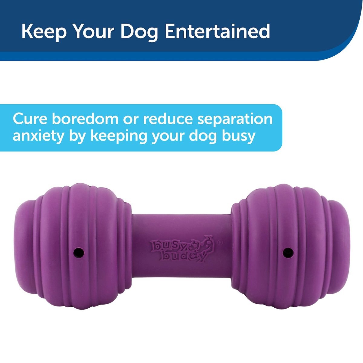 PetSafe Busy Buddy Chuckle Squeaky Treat Dispenser Dog Toy