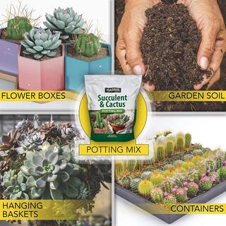 Harris 8 Qt. Premium Horticultural Vermiculite for Indoor Plants and Gardening and 4Qt. Succulent and Cactus Potting Soil Mix VERM-SUCCL