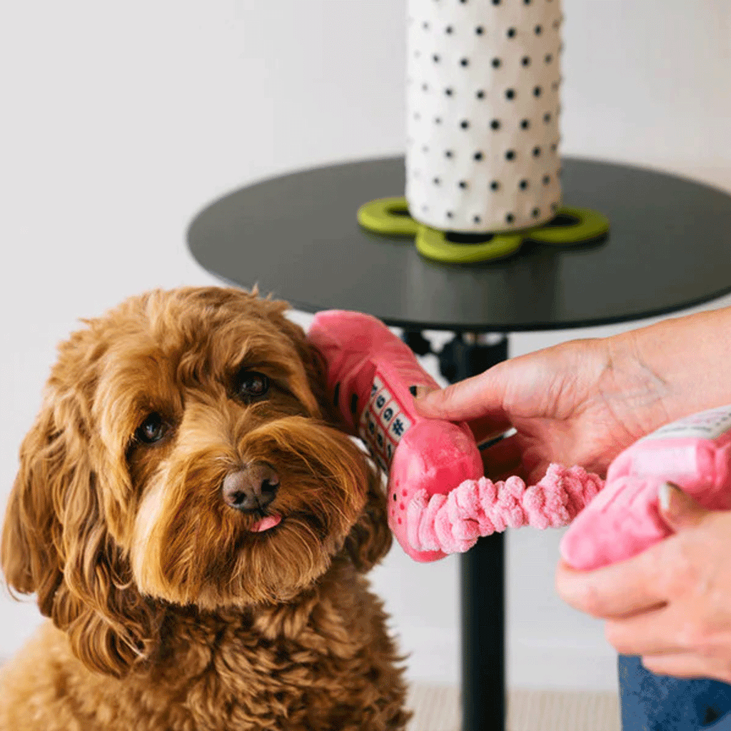 P.L.A.Y. Pink Corded Phone Dog Toy