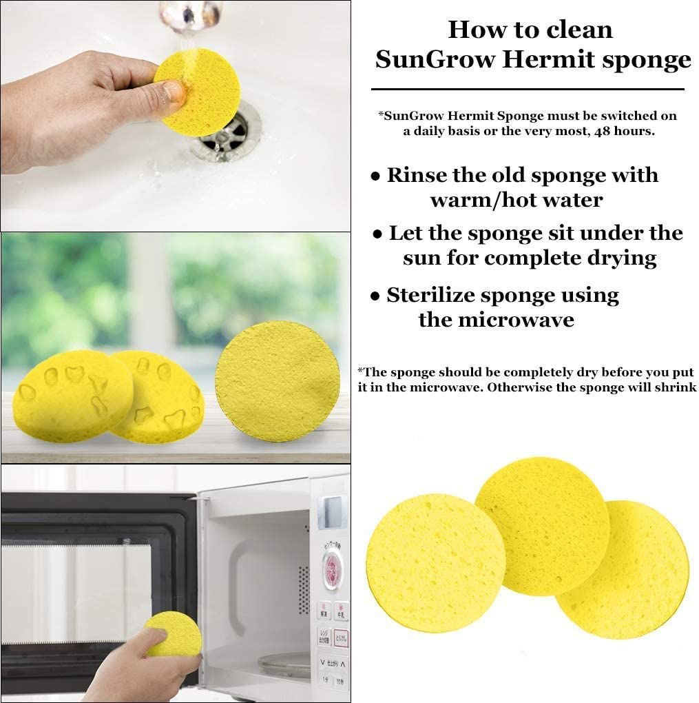 SunGrow Hermit Crab Tank Humidity Control Sponge， Yellow， 3 count