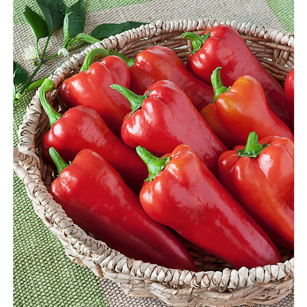 BONNIE PLANTS HARVEST SELECT 25 oz. Carmen Italian Sweet Pepper Plant 715339421425