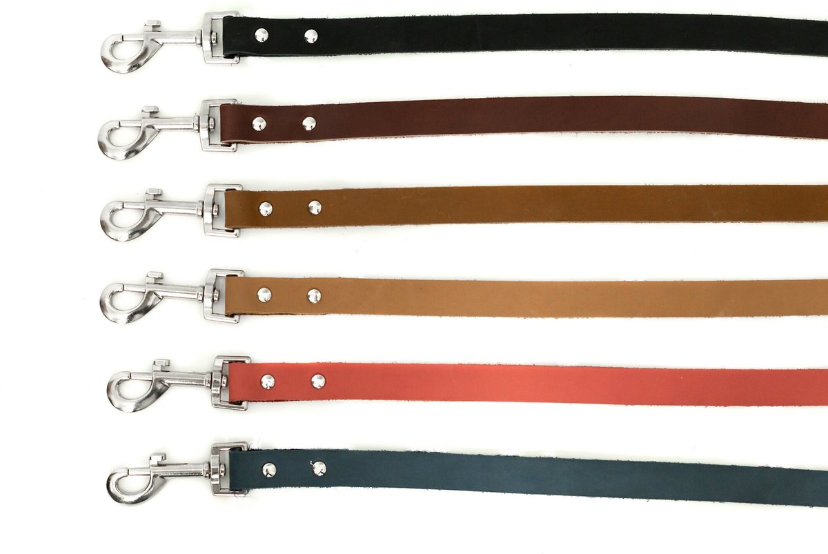 Euro-Dog Modern Leather Dog Lead