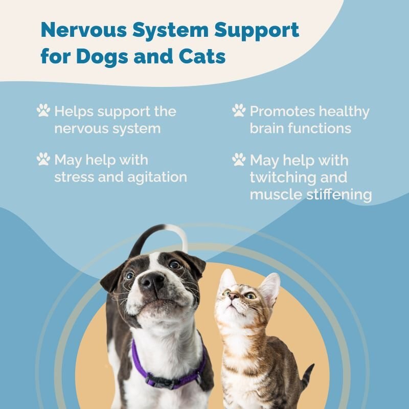 Prana Pets Nervous System Support Natural Medicine for Anxiety， Muscle Spasms and Seizures for Cats and Dogs， 2-oz bottle