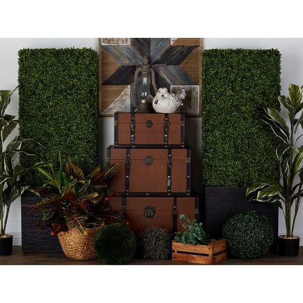 Exclusive and Utmost Beautiful Boxwood Hedge