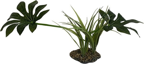 Komodo Jungle Canopy Terrarium Plant