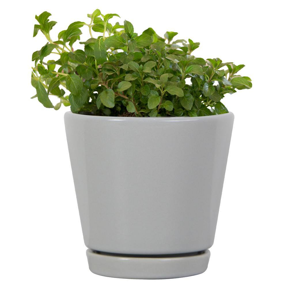 Vigoro 4.4 in. Piedmont Small Gray Ceramic Planter (4.4 in. D x 4.2 in. H) with Drainage Hole and Attached Saucer CR01721S-04H