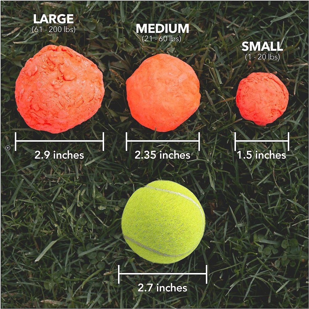 WACKYwalk'r WUNDERBALL Fetch Dog Toy， Color Varies， Small