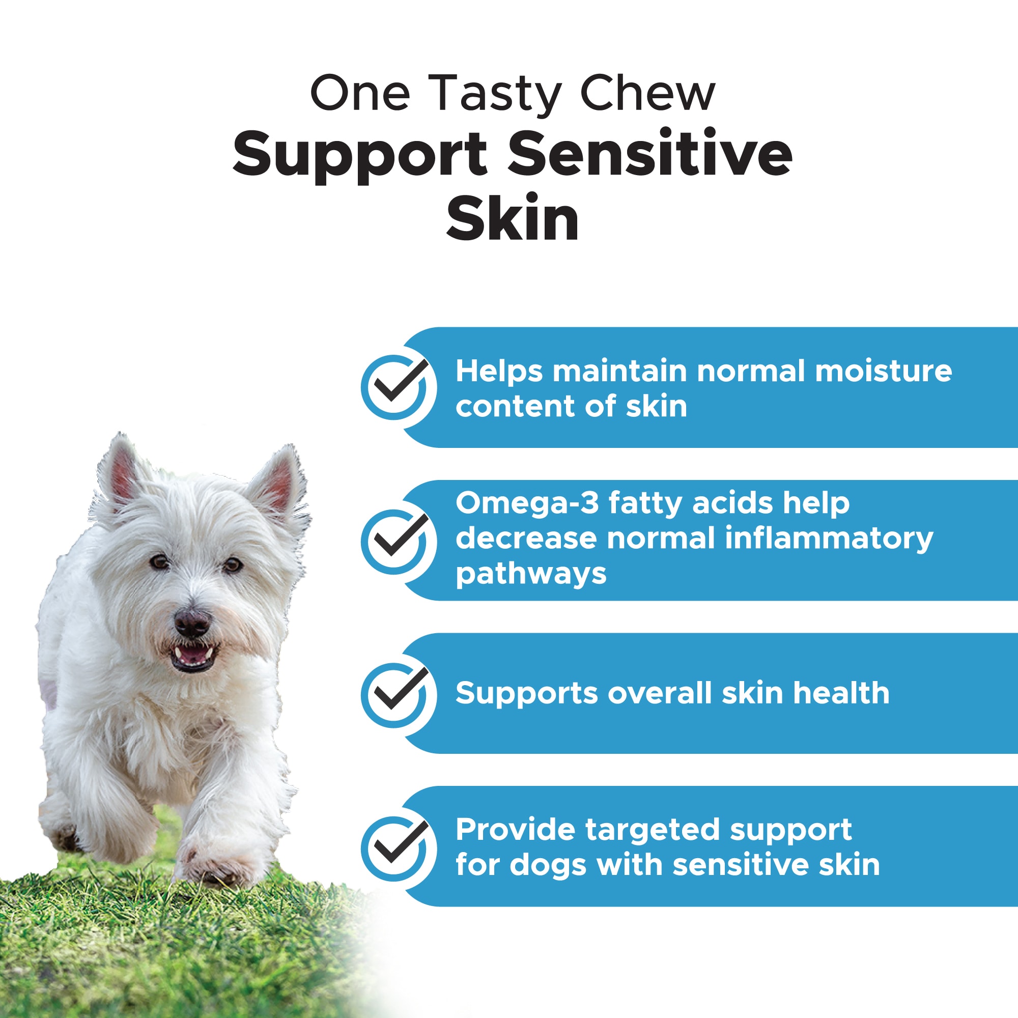 PET HONESTY Skin Health Omega Soft Chews for Dogs， Count of 90