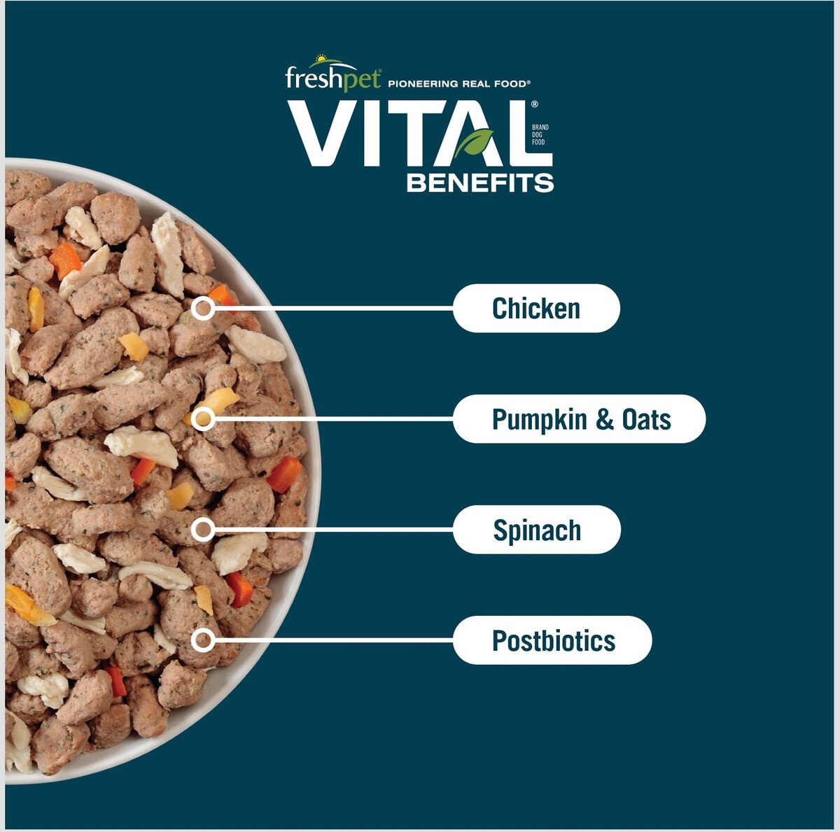 Freshpet Vital Benefits Digestive Health Fresh Dog Food