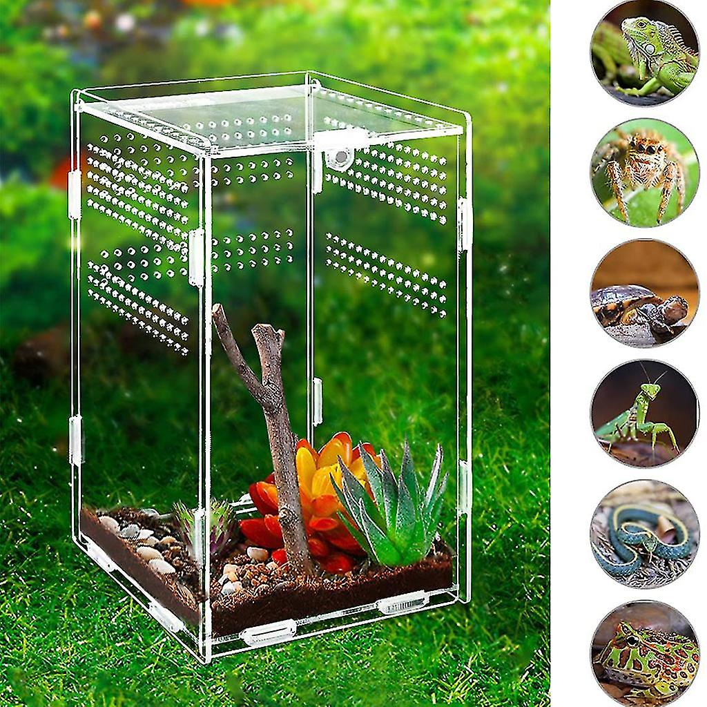 Reptile Feeding Box Acrylic Terrarium Containers For Spider Lizard Frog Beetle