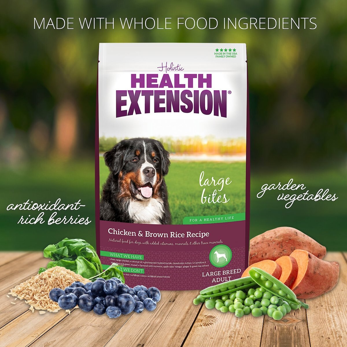 Health Extension Large Bites Chicken and Brown Rice Recipe Dry Dog Food