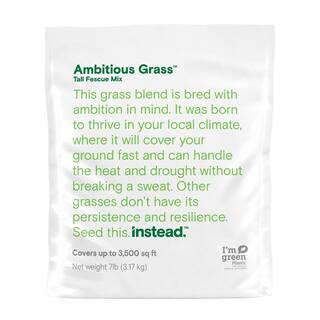 instead Ambitious Grass 7 lbs. Tall Fescue Grass Seed 17998-1