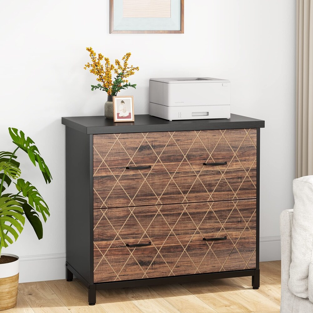 Lateral File Cabinet with 2 Drawers for Home Office  Letter Size