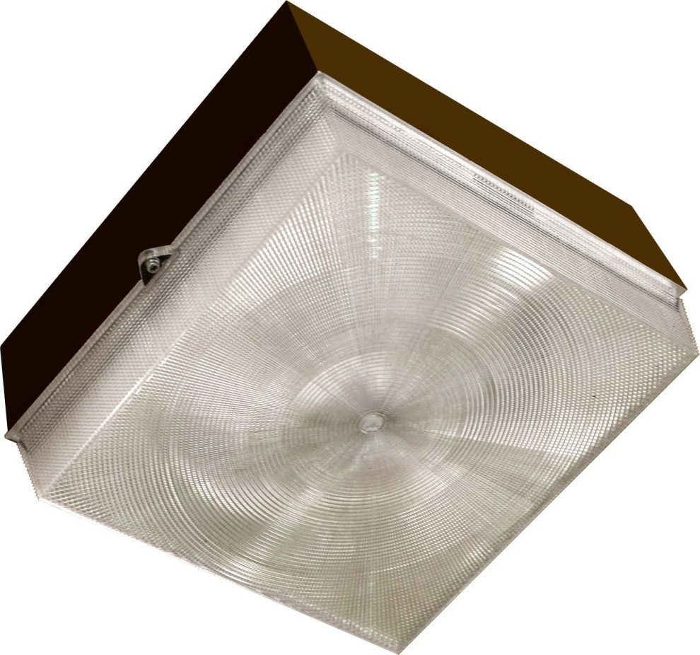 DABMAR LIGHTING DW6650 W Polycarbonate Surface Mounted Ceiling Fixture  White   Transitional   Outdoor Flush mount Ceiling Lighting   by LIGHTING JUNGLE  Houzz