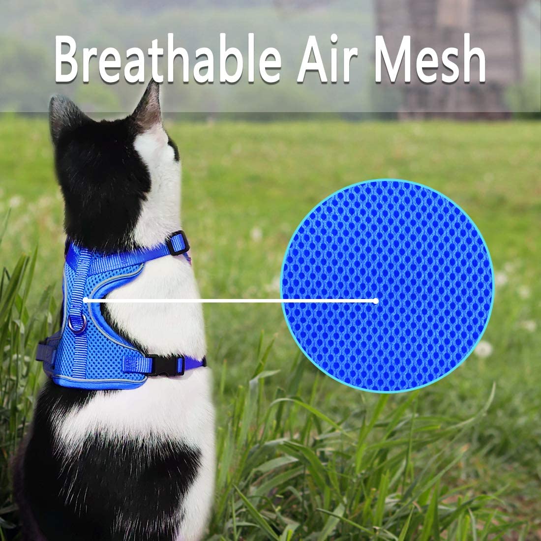 Cat Harness and Leash Proof Reflective for Adult Cats Soft and Breathable Vest