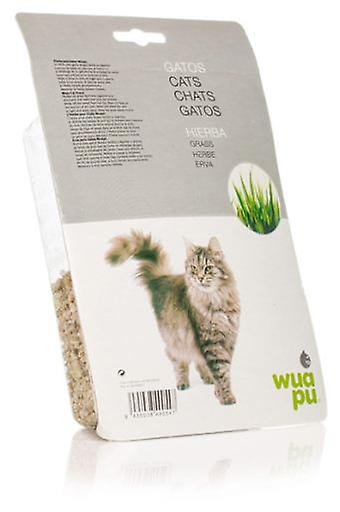 Wuapu Cat Grass (Cats ， Cat Nip， Malt and More)