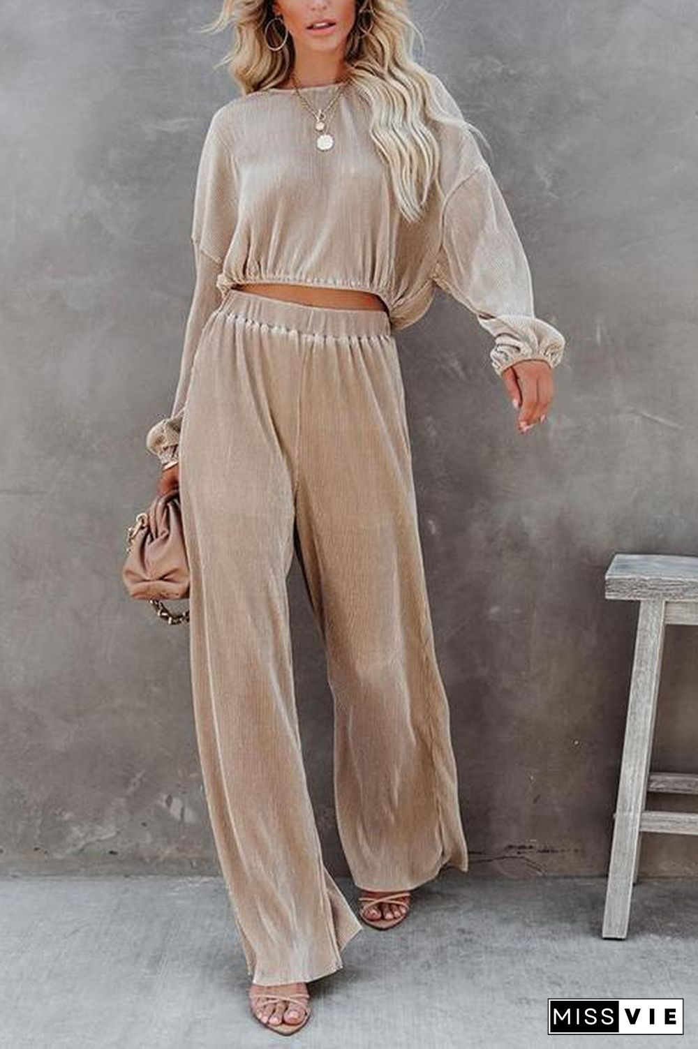 Pleated Crop Blouse Wide Leg Pants Set