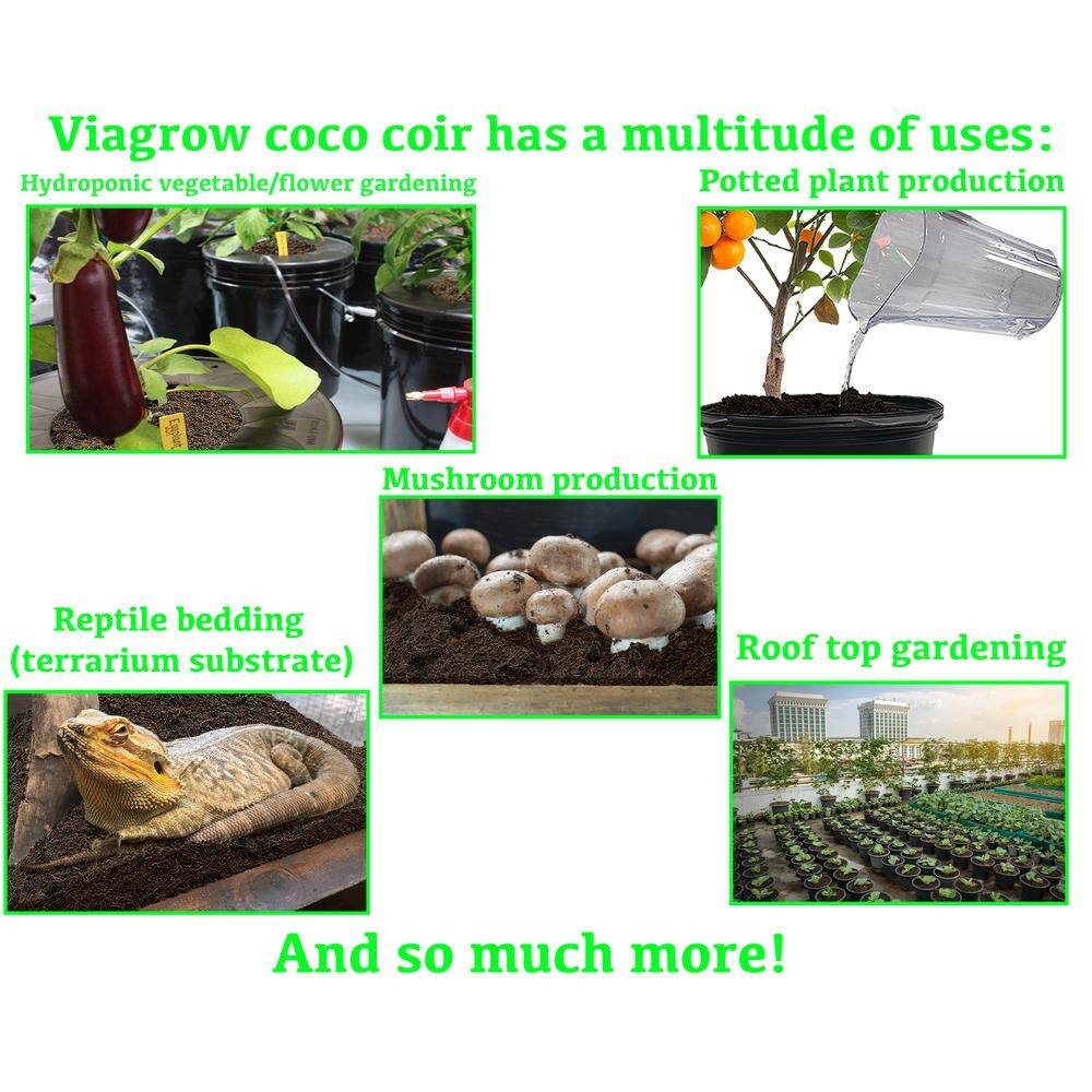 Viagrow 1.4 lbs.650g Premium Coco Coir Soilless Grow Media Coconut Coir Brick (6-Pack) VCCB650-6