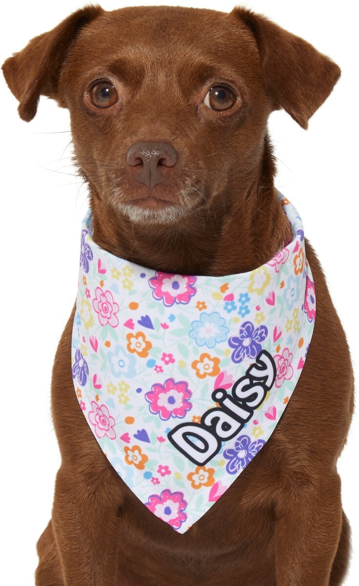 Frisco Bright Floral Personalized Dog and Cat Bandana